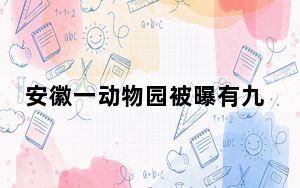 安徽一动物园被曝有九斤重大老鼠 背后真相实在让人惊愕