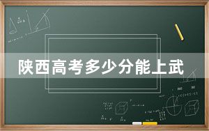 陕西高考多少分能上武汉文理学院？2024年文科最低459分 理科431分