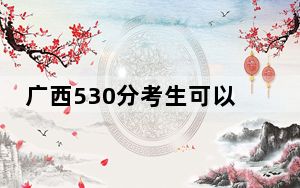 广西530分考生可以报考哪些本科大学？