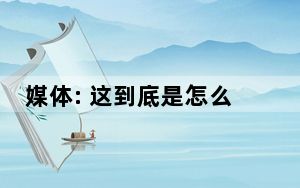 媒体: 这到底是怎么回事？