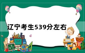 辽宁考生539分左右可以录取哪些大学？ 2024年录取最低分539的大学