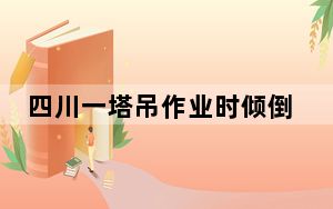四川一塔吊作业时倾倒 已致6人死亡 背后真相令人震惊