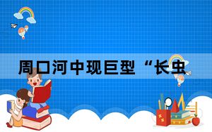 周口河中现巨型“长虫”?当地回应 这到底是怎么回事？