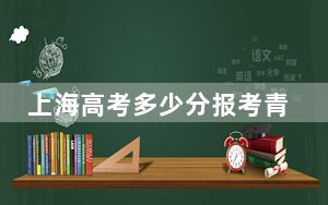 上海高考多少分报考青岛恒星科技学院？附2022-2024年院校最低投档线