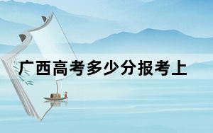 广西高考多少分报考上海工商外国语职业学院？附2022-2024年最低录取分数线