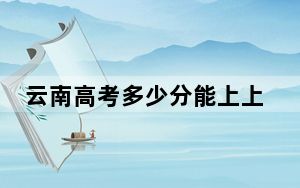 云南高考多少分能上上海海关学院？2024年文科录取分590分 理科530分