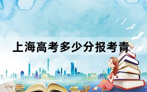 上海高考多少分报考青岛农业大学？2024年综合最低410分