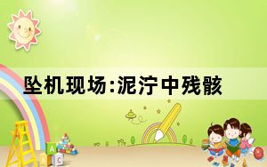 坠机现场:泥泞中残骸呈碎片散落 这到底是怎么回事？