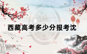 西藏高考多少分报考沈阳师范大学？2024年投档线分