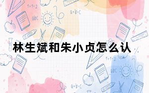 林生斌和朱小贞怎么认识的 背后真相实在让人惊愕