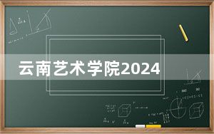 云南艺术学院2024年在山东录取最低分数线和学费是多少？