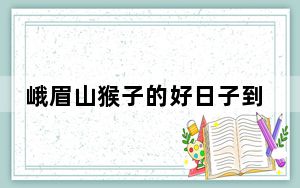 峨眉山猴子的好日子到头了 背后真相令人震惊