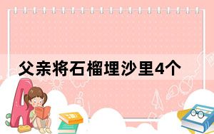 父亲将石榴埋沙里4个月等儿子 这到底是怎么回事？