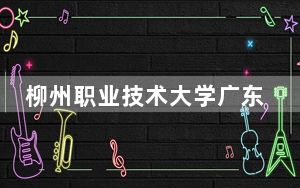 柳州职业技术大学广东省录取分数线是多少？2025年广东考生参考