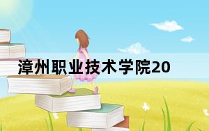 漳州职业技术学院2024年在贵州录取分数线和招生计划