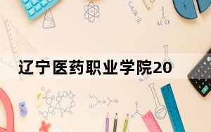 辽宁医药职业学院2024年在宁夏学费是多少？宁夏考生2025年参考