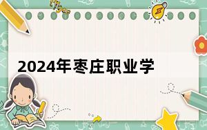 2024年枣庄职业学院在四川招生计划和录取分数线是多少？四川考生2025年参考