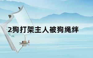 2狗打架主人被狗绳绊致十级伤残 这到底是怎么回事？