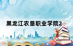 黑龙江农垦职业学院2024年最低录取分数线和位次（全国各地数据汇总）