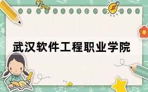 武汉软件工程职业学院在宁夏招生计划和录取分数线是多少？2025宁夏考生参考