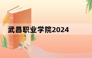 武昌职业学院2024年录取最低分数线是多少？海南考生2025年参考