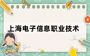 上海电子信息职业技术学院2024年录取最低分数线公布：青海考生2025年参考