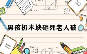 男孩扔木块砸死老人被判赔58万 背后真相令人震惊