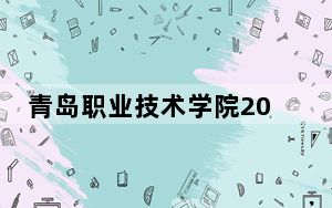 青岛职业技术学院2024年录取最低分数线招生计划和学费：甘肃考生2025年参考