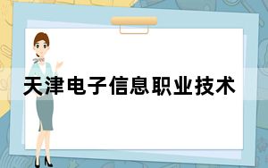 天津电子信息职业技术学院在海南招生计划和录取分数线是多少？2025海南考生参考