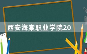 西安海棠职业学院2024年在湖北录取最低分数线和学费是多少？