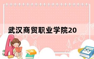 武汉商贸职业学院2024年最低录取分数线和位次（全国各地数据汇总）