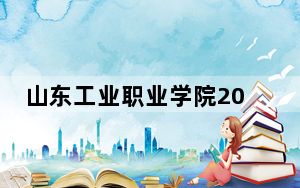 山东工业职业学院2024年在山东录取分数线和招生计划