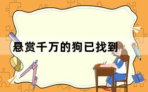 悬赏千万的狗已找到 这到底是怎么回事？