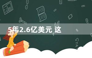 5年2.6亿美元 这到底是怎么回事？