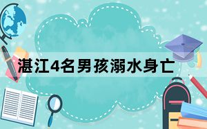 湛江4名男孩溺水身亡 3人是亲兄弟 背后真相令人震惊