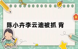 陈小卉李云迪被抓 背后真相让人感到惊讶