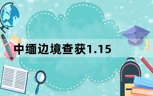 中缅边境查获1.15万张SIM卡 背后真相实在令人震惊