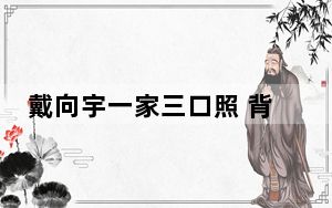 戴向宇一家三口照 背后真相实在让人惊愕