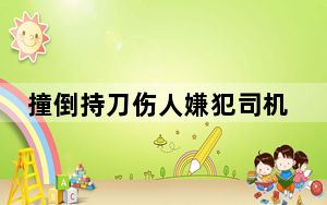 撞倒持刀伤人嫌犯司机发声 背后真相令人震惊