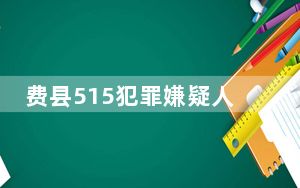 费县515犯罪嫌疑人笔录 背后真相实在让人惊愕