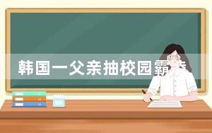 韩国一父亲抽校园霸凌者百余耳光：被判有期徒刑10个月缓刑2年