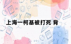 上海一柯基被打死 背后真相令人震惊
