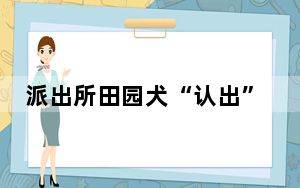 派出所田园犬“认出”嫌疑人 背后真相实在令人震惊