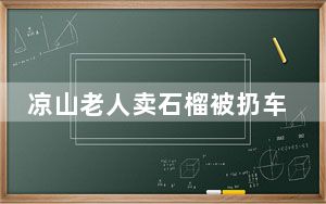 凉山老人卖石榴被扔车外系摆拍 背后真相实在令人震惊