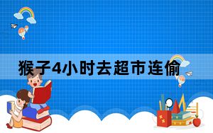 猴子4小时去超市连偷3次 背后真相让人感到惊讶
