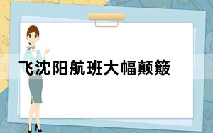 飞沈阳航班大幅颠簸 乘客尖叫哭泣 背后真相令人震惊