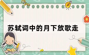 苏轼词中的月下放歌走进现实 这到底是怎么回事？