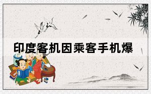 印度客机因乘客手机爆炸紧急降落 背后真相令人震惊