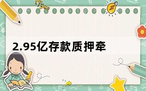 2.95亿存款质押牵出隐情真相曝光 背后真相实在令人震惊