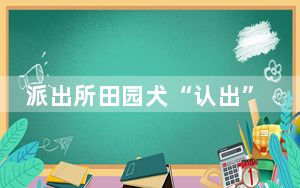 派出所田园犬“认出”嫌疑人 背后真相让人感到惊讶